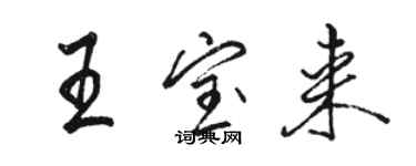 駱恆光王寶來行書個性簽名怎么寫