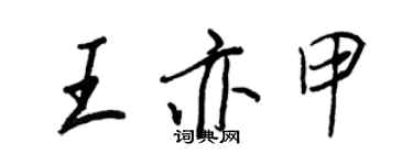 王正良王亦甲行書個性簽名怎么寫