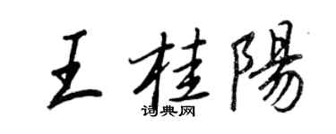 王正良王桂陽行書個性簽名怎么寫