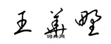 梁錦英王華野草書個性簽名怎么寫