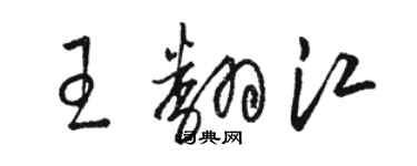 駱恆光王翻江草書個性簽名怎么寫