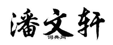 胡問遂潘文軒行書個性簽名怎么寫