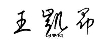 梁錦英王凱昂草書個性簽名怎么寫