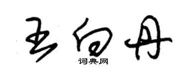 朱錫榮王向丹草書個性簽名怎么寫