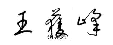 梁錦英王獲峰草書個性簽名怎么寫
