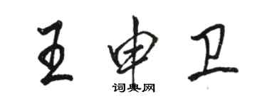 駱恆光王申衛行書個性簽名怎么寫