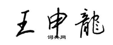 王正良王申龍行書個性簽名怎么寫