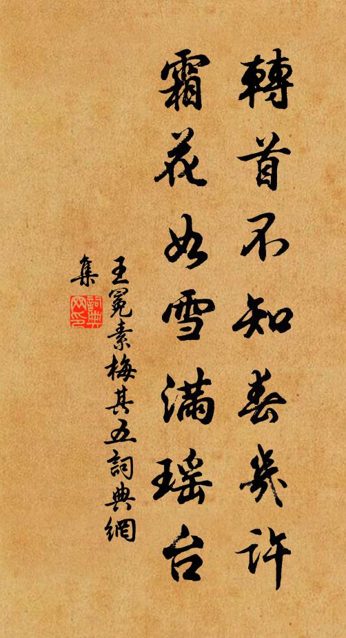 栽花傍庭砌，立木為花屋 詩詞名句