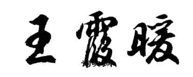 胡問遂王霞暖行書個性簽名怎么寫