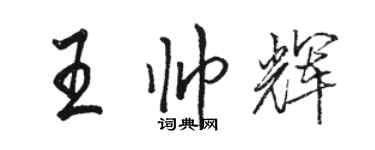 駱恆光王帥輝行書個性簽名怎么寫