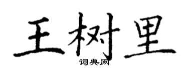 丁謙王樹里楷書個性簽名怎么寫