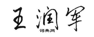 駱恆光王潤軍行書個性簽名怎么寫