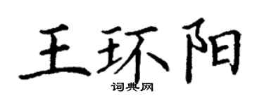 丁謙王環陽楷書個性簽名怎么寫
