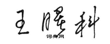 駱恆光王曙科草書個性簽名怎么寫