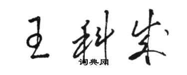 駱恆光王科成草書個性簽名怎么寫