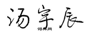 曾慶福湯宇辰行書個性簽名怎么寫