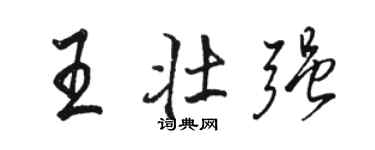 駱恆光王壯強行書個性簽名怎么寫