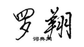 駱恆光羅翔行書個性簽名怎么寫