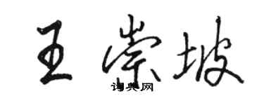 駱恆光王崇坡行書個性簽名怎么寫