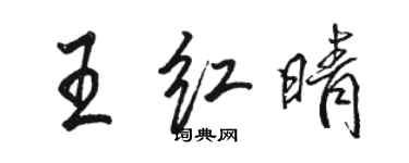 駱恆光王紅晴行書個性簽名怎么寫