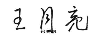 駱恆光王月亮草書個性簽名怎么寫