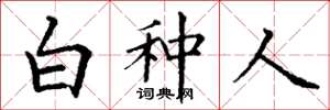 丁謙白種人楷書怎么寫