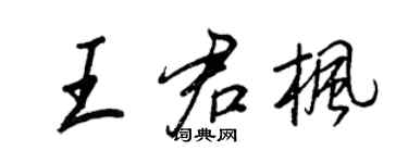 王正良王君楓行書個性簽名怎么寫