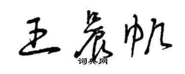 曾慶福王晨帆草書個性簽名怎么寫