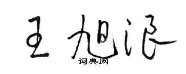 駱恆光王旭浪草書個性簽名怎么寫