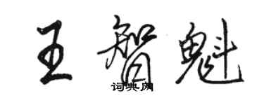 駱恆光王智魁行書個性簽名怎么寫