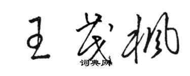 駱恆光王茂楓草書個性簽名怎么寫