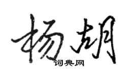 駱恆光楊胡行書個性簽名怎么寫