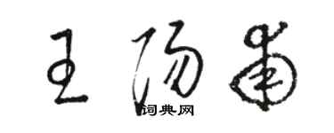 駱恆光王陽甫草書個性簽名怎么寫