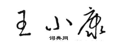 駱恆光王小康草書個性簽名怎么寫