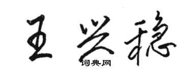 駱恆光王興穩行書個性簽名怎么寫