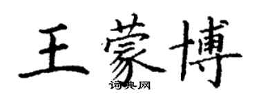 丁謙王蒙博楷書個性簽名怎么寫