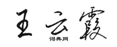 駱恆光王雲霞行書個性簽名怎么寫