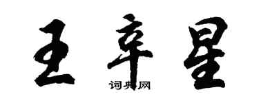 胡問遂王辛星行書個性簽名怎么寫