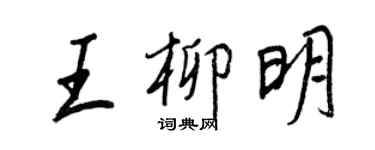 王正良王柳明行書個性簽名怎么寫
