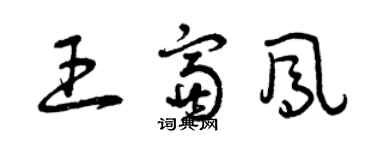 曾慶福王富鳳草書個性簽名怎么寫