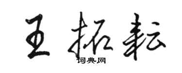 駱恆光王拓耘行書個性簽名怎么寫
