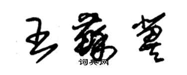 朱錫榮王蘇冀草書個性簽名怎么寫