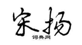 曾慶福宋揚行書個性簽名怎么寫