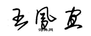 朱錫榮王鳳宜草書個性簽名怎么寫