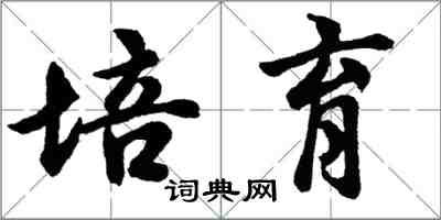 胡問遂培育行書怎么寫