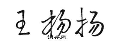駱恆光王楊揚草書個性簽名怎么寫