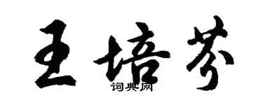 胡問遂王培芬行書個性簽名怎么寫