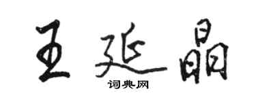 駱恆光王延晶行書個性簽名怎么寫