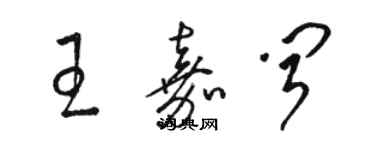 駱恆光王嘉聞草書個性簽名怎么寫