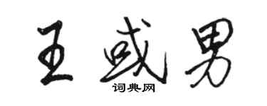 駱恆光王或男行書個性簽名怎么寫